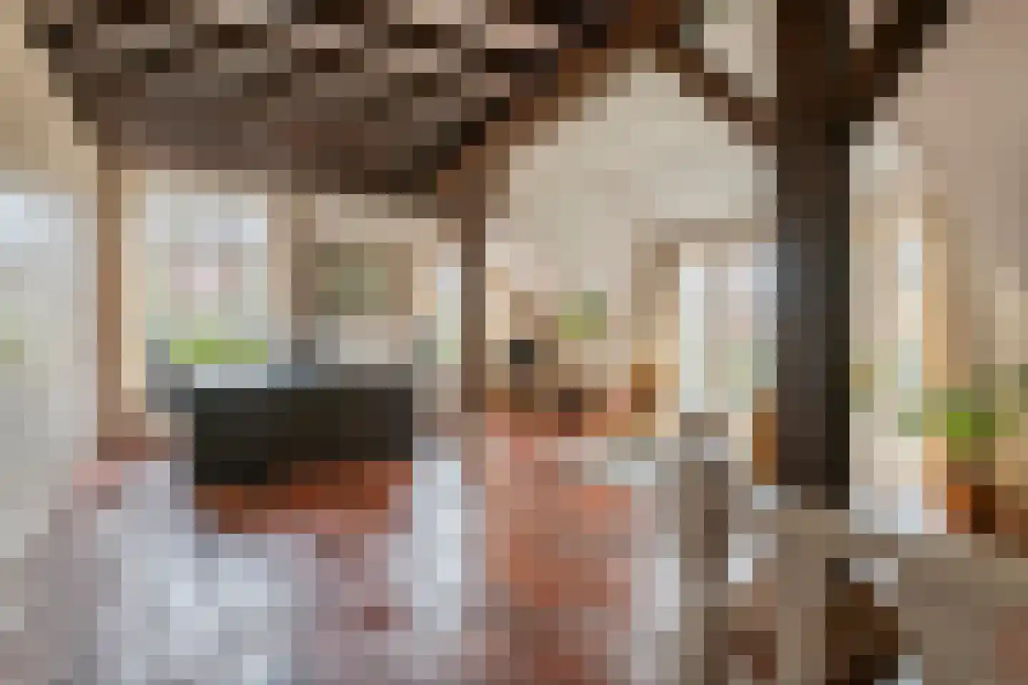 Dorpsweg 55 Hoornaar thumbnail 38
