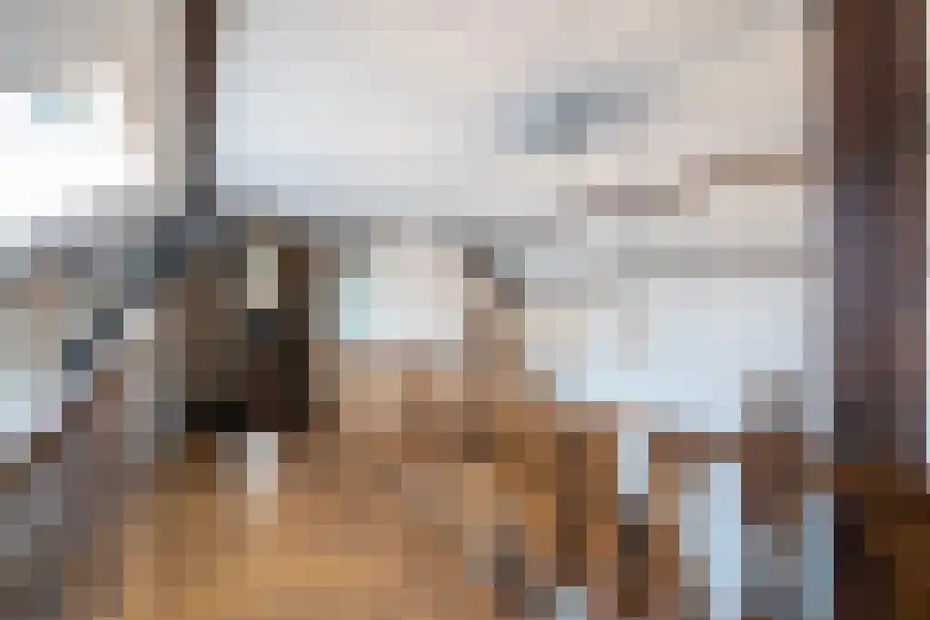 Dorpsweg 55 Hoornaar thumbnail 43