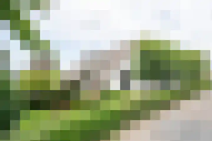 Dorpsweg 55 Hoornaar thumbnail 49