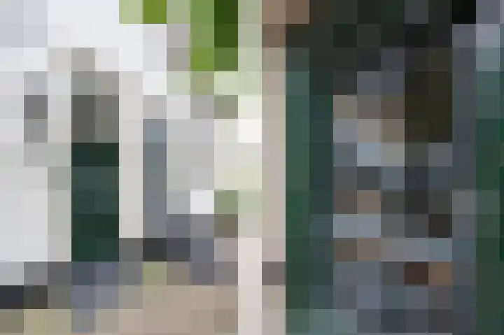 Dorpsweg 55 Hoornaar thumbnail 5
