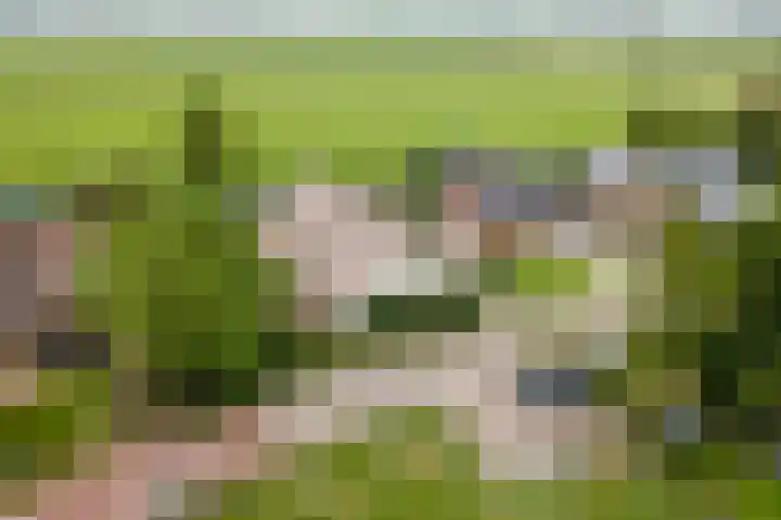 Dorpsweg 55 Hoornaar thumbnail 55