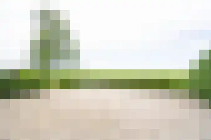 Dorpsweg 55 Hoornaar thumbnail 56