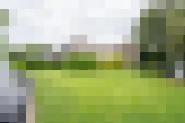 Dorpsweg 55 Hoornaar thumbnail 57