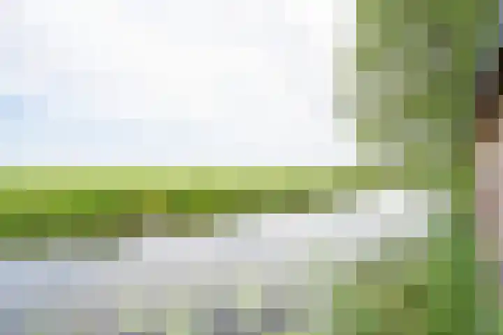 Dorpsweg 55 Hoornaar thumbnail 58