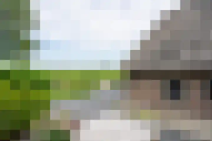 Dorpsweg 55 Hoornaar thumbnail 59