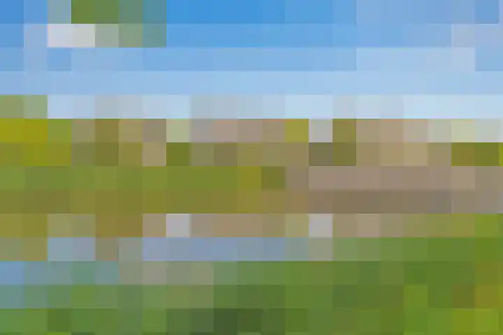 Dorpsweg 55 Hoornaar thumbnail 62