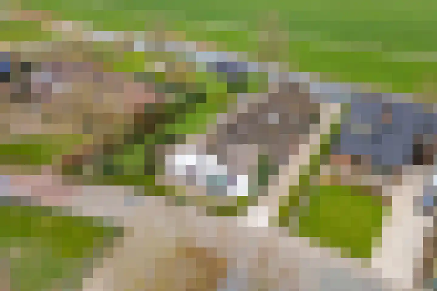 Dorpsweg 55 Hoornaar thumbnail 68