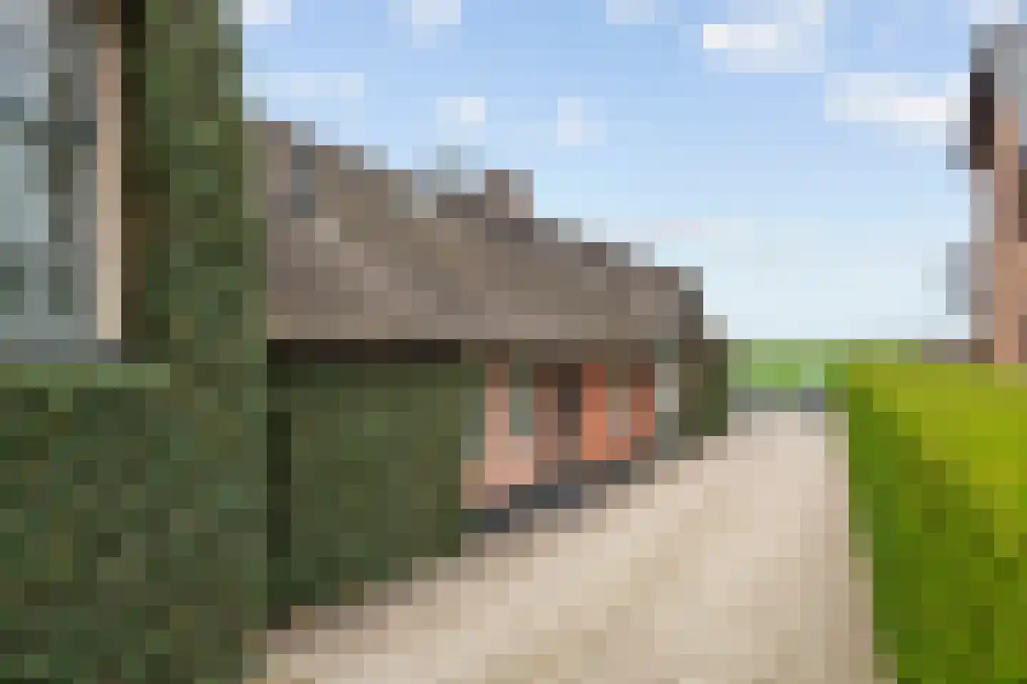 Dorpsweg 55 Hoornaar thumbnail 7