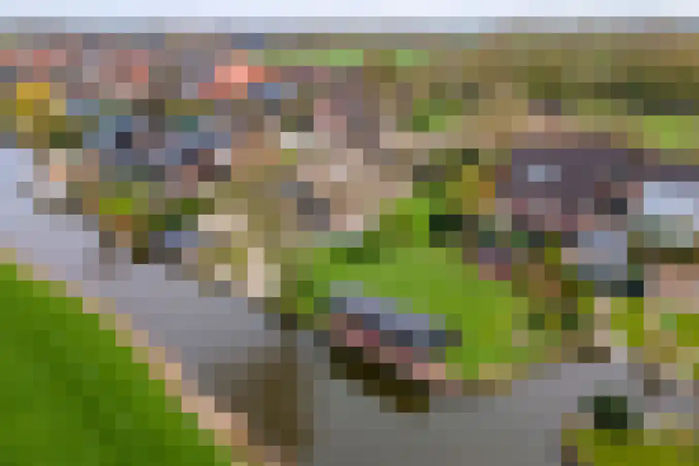 Dorpsweg 55 Hoornaar thumbnail 80