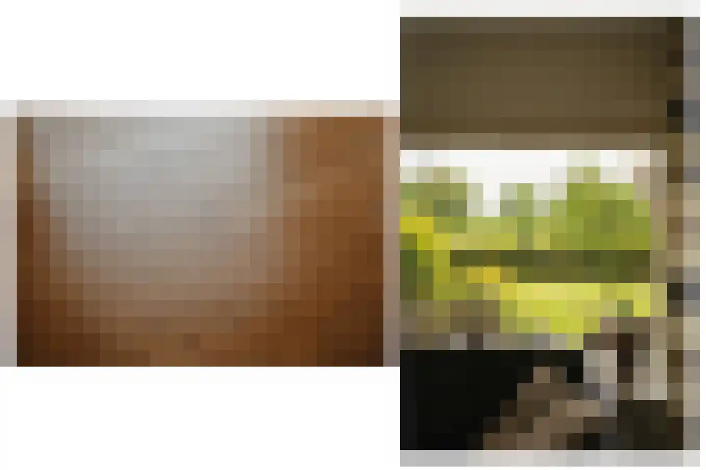 Dorpsweg 56 I Hoornaar thumbnail 10