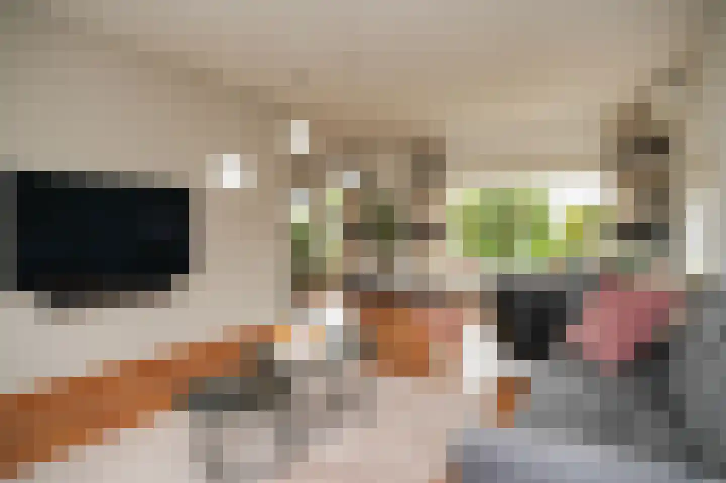 Dorpsweg 56 I Hoornaar thumbnail 11