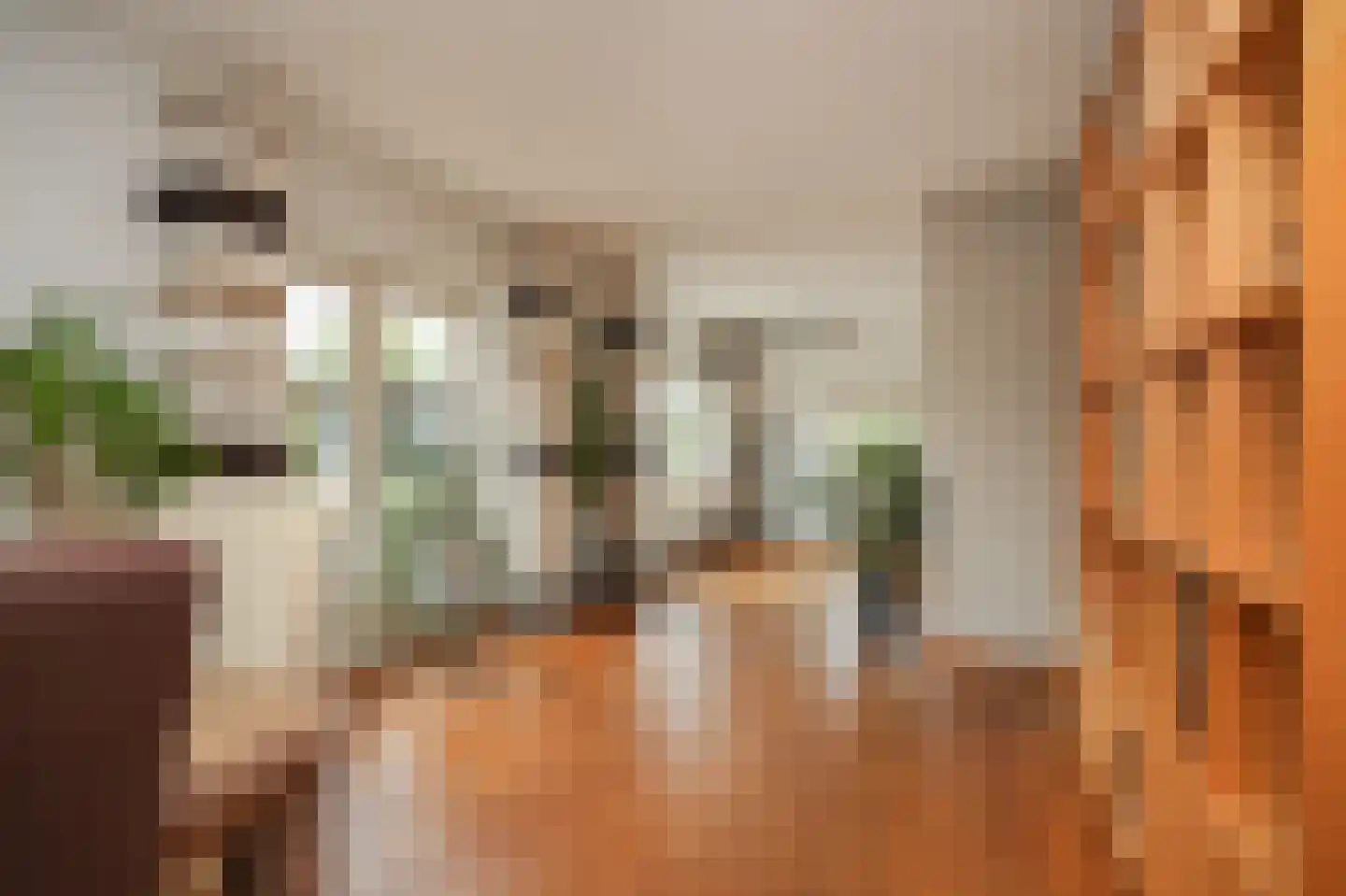 Dorpsweg 56 I Hoornaar thumbnail 15