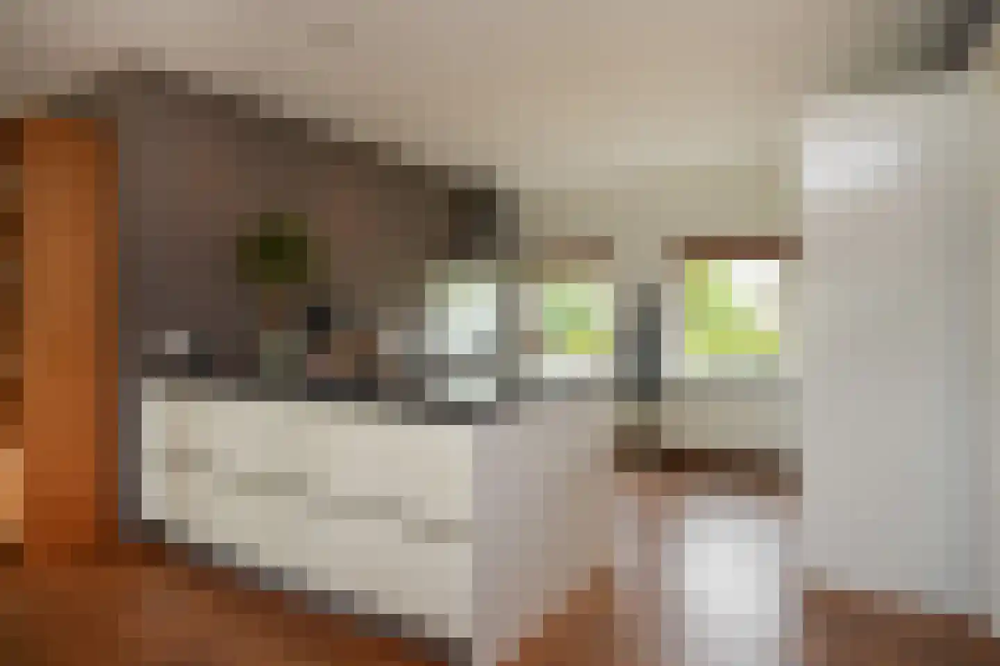 Dorpsweg 56 I Hoornaar thumbnail 16
