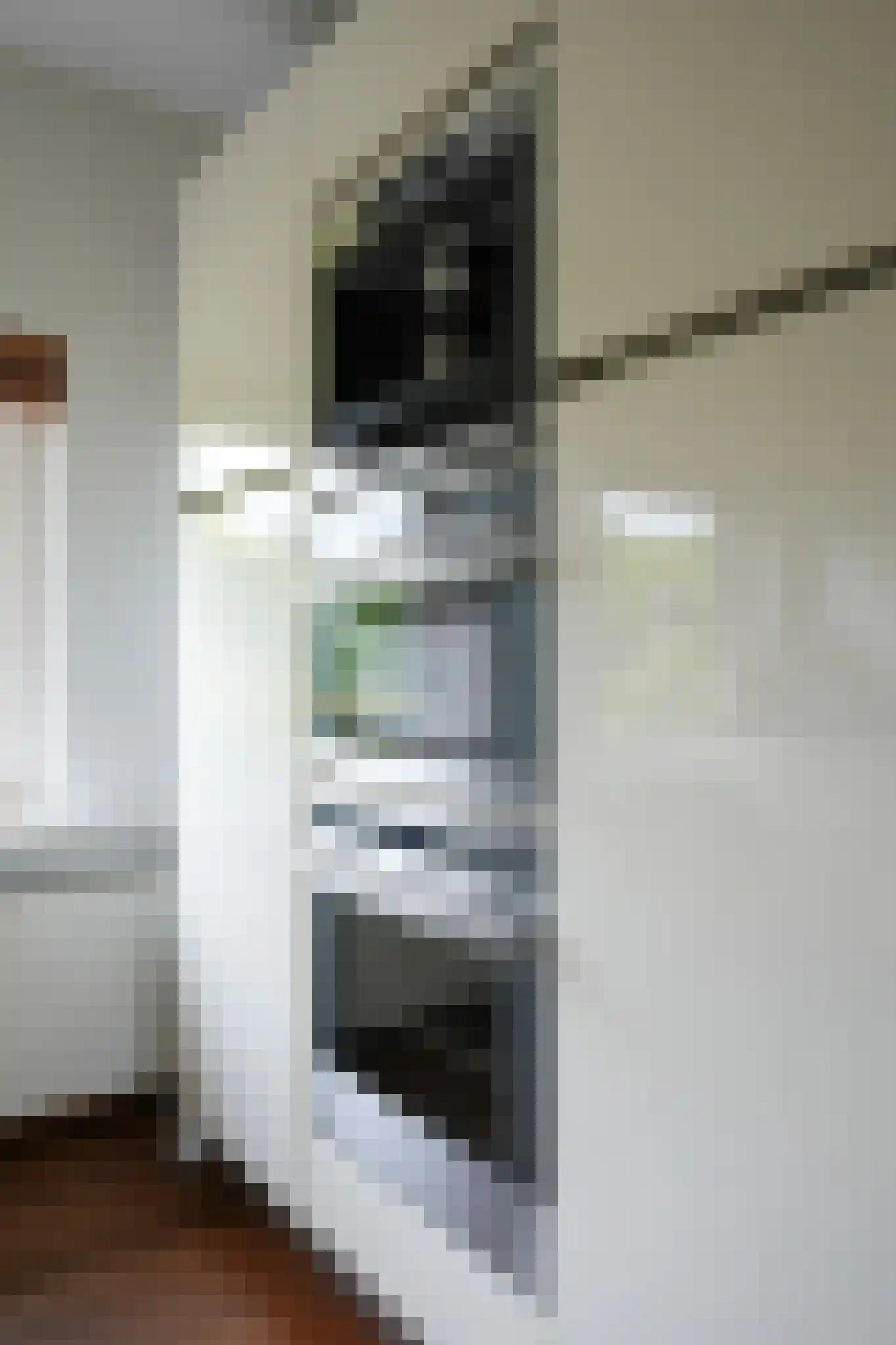 Dorpsweg 56 I Hoornaar thumbnail 18