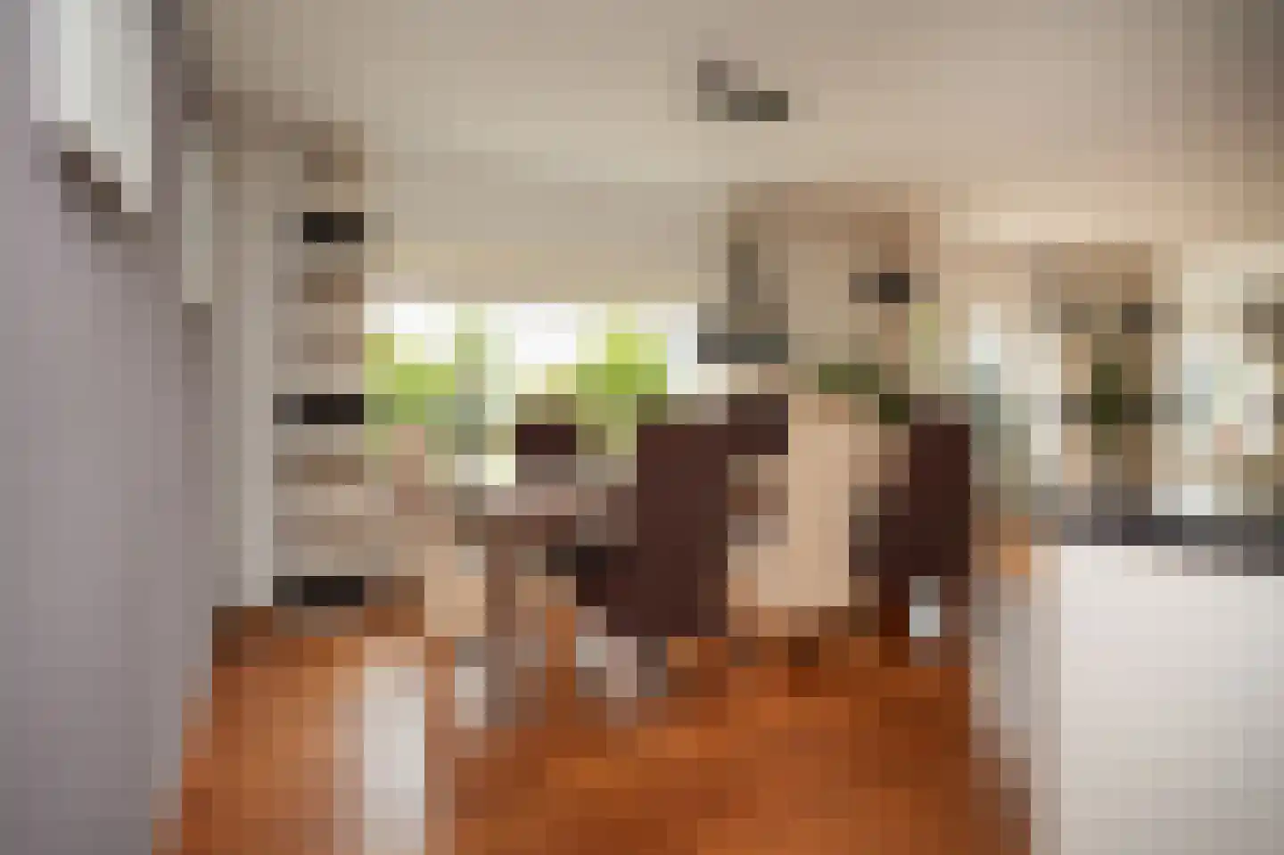 Dorpsweg 56 I Hoornaar thumbnail 20