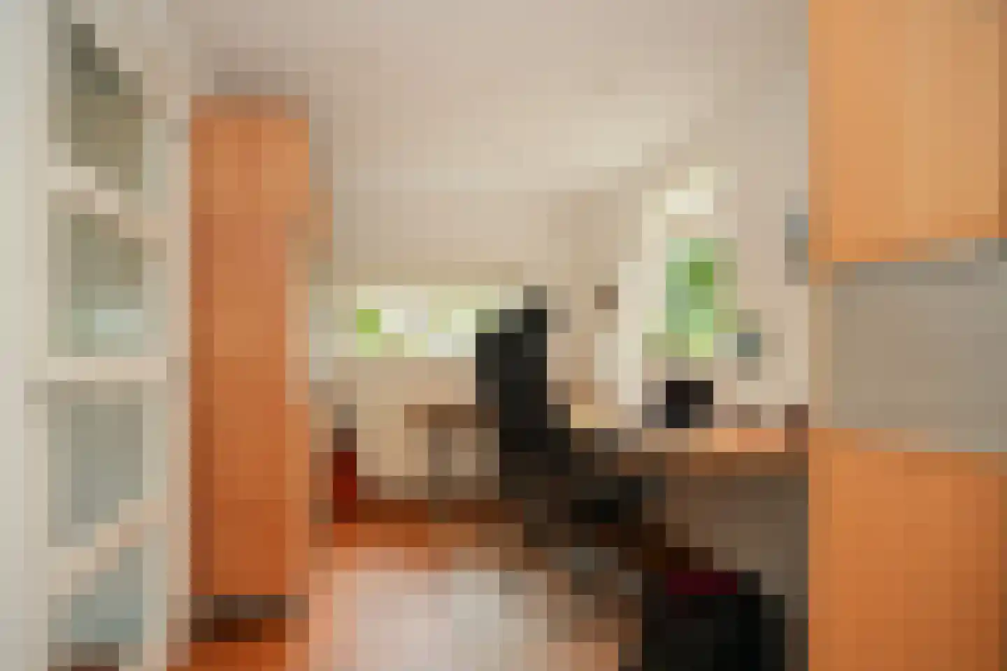 Dorpsweg 56 I Hoornaar thumbnail 21