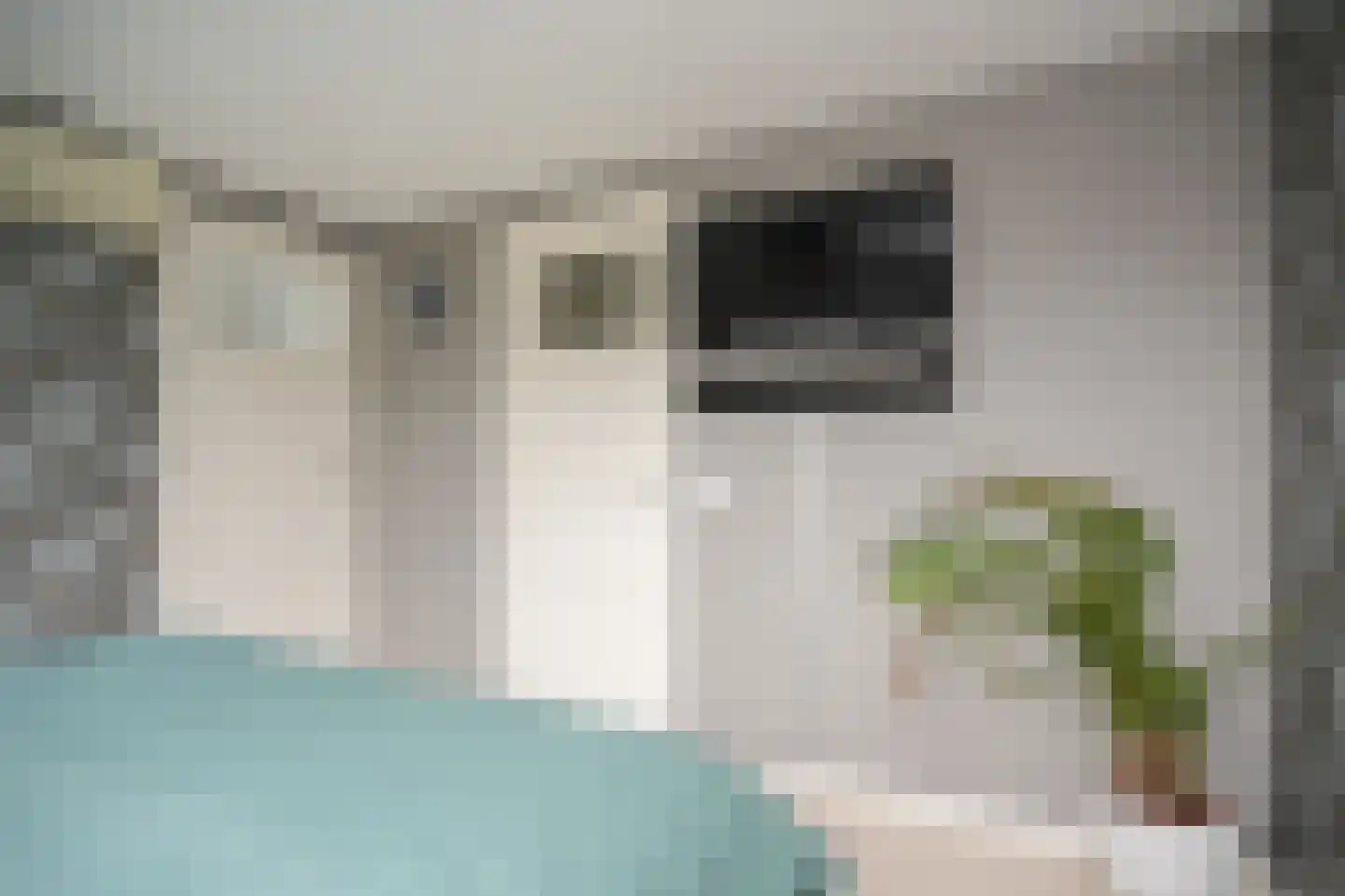 Dorpsweg 56 I Hoornaar thumbnail 29