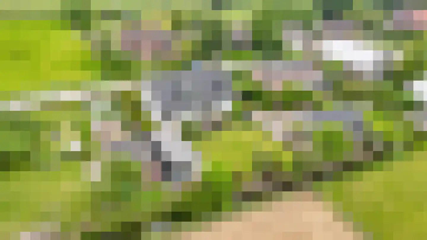 Dorpsweg 56 I Hoornaar thumbnail 36