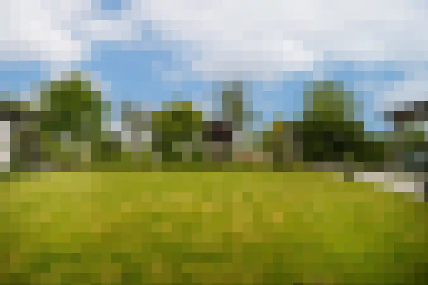 Dorpsweg 56 I Hoornaar thumbnail 37