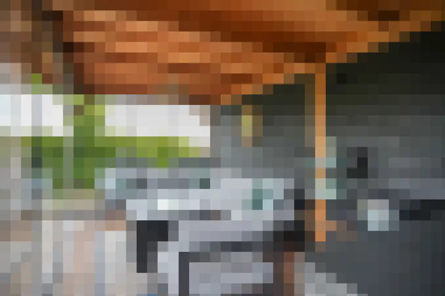 Dorpsweg 56 I Hoornaar thumbnail 39