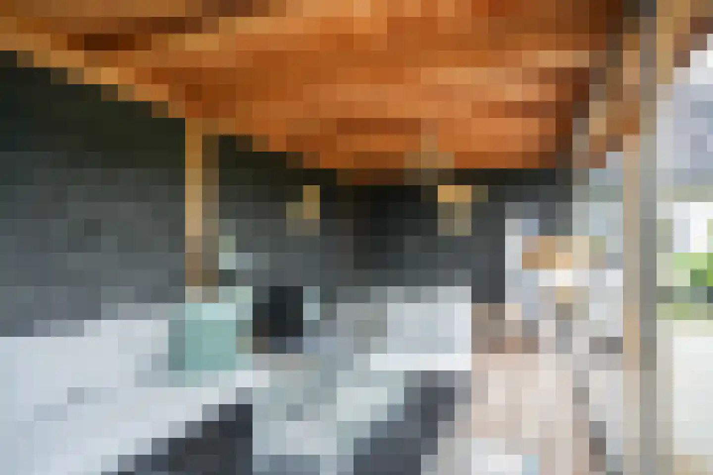 Dorpsweg 56 I Hoornaar thumbnail 41