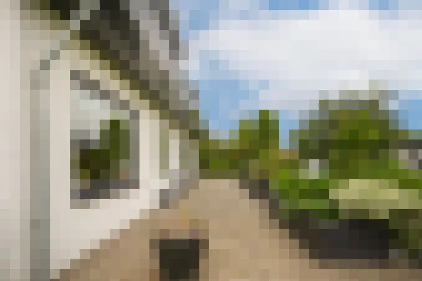 Dorpsweg 56 I Hoornaar thumbnail 46