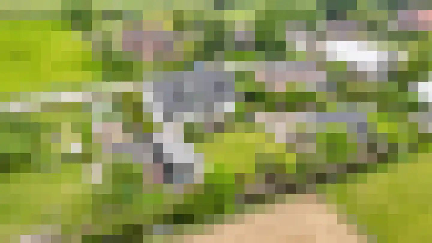 Dorpsweg 56 I Hoornaar thumbnail 5