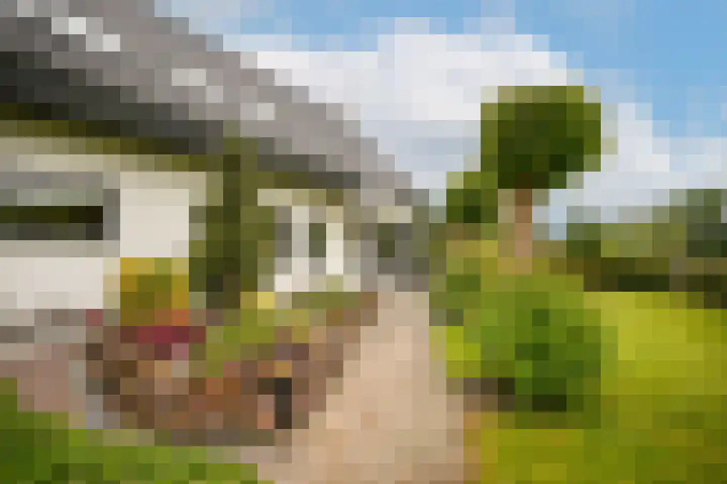 Dorpsweg 56 I Hoornaar thumbnail 54