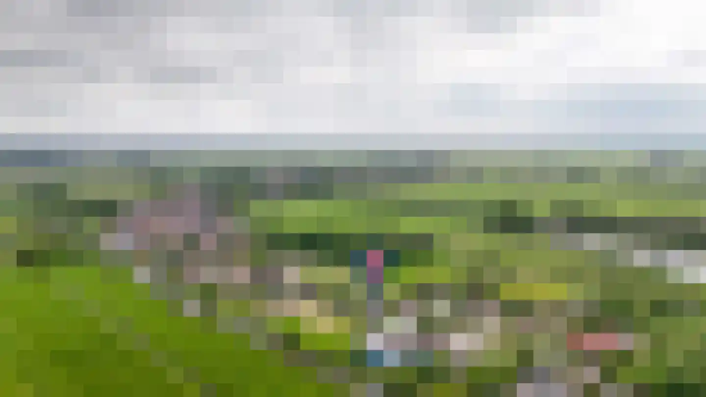 Dorpsweg 56 I Hoornaar thumbnail 60