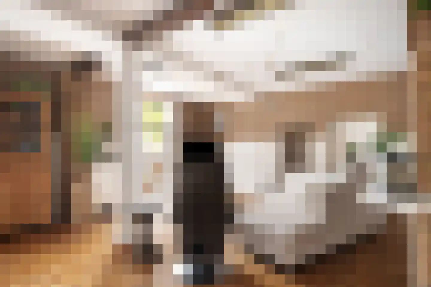 Dorpsweg 56 Rockanje thumbnail 12