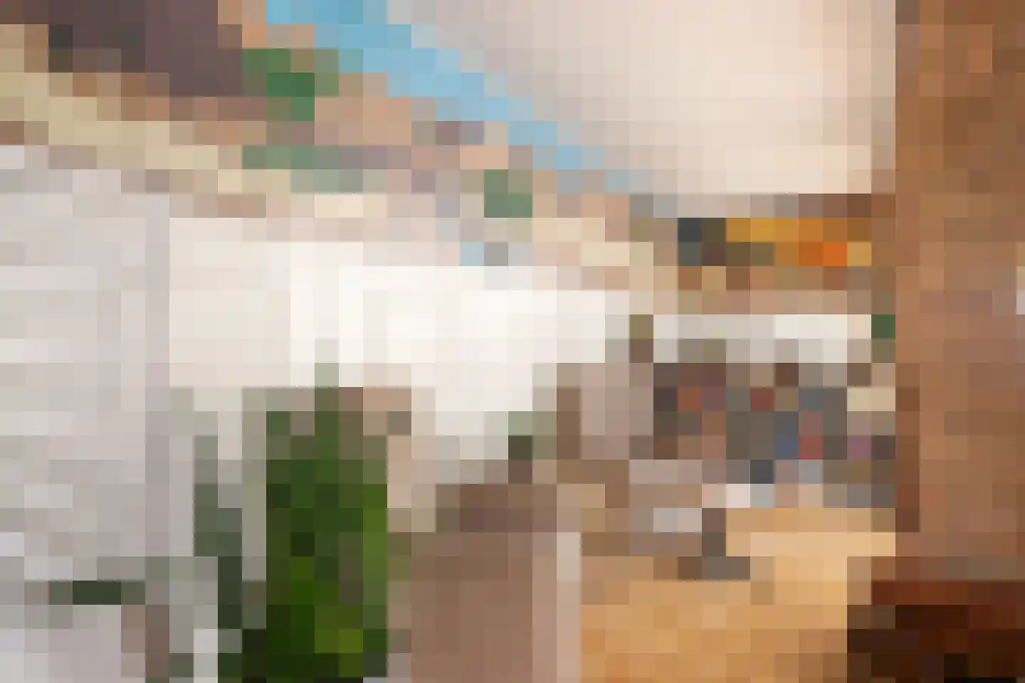 Dorpsweg 56 Rockanje thumbnail 16