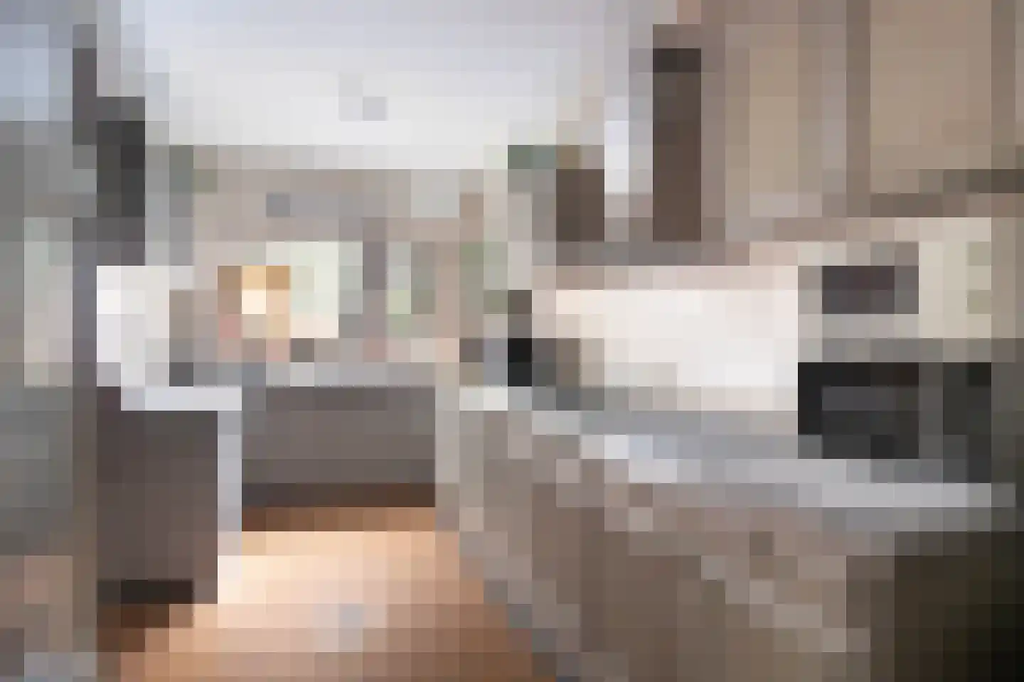Dorpsweg 56 Rockanje thumbnail 21