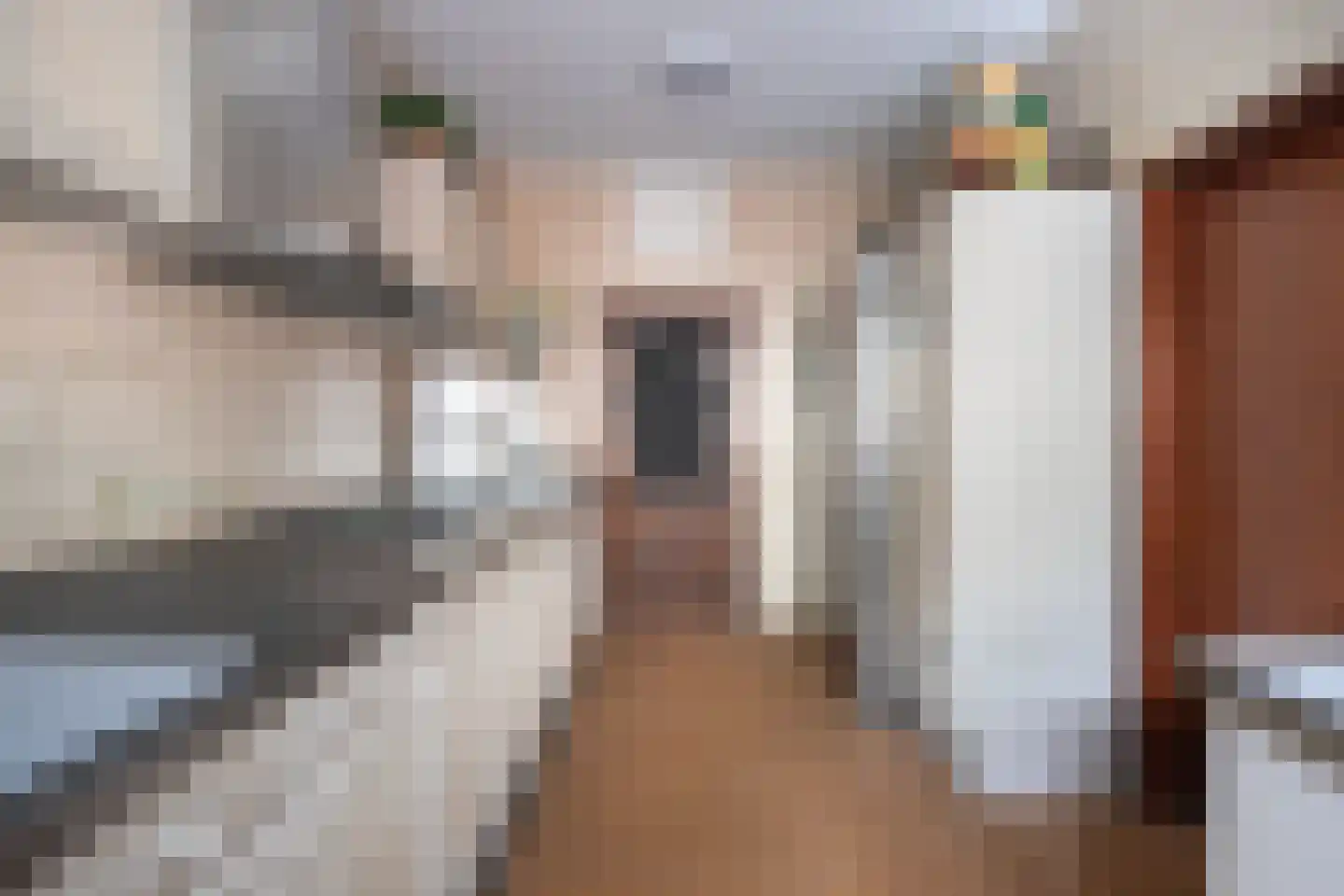 Dorpsweg 56 Rockanje thumbnail 22