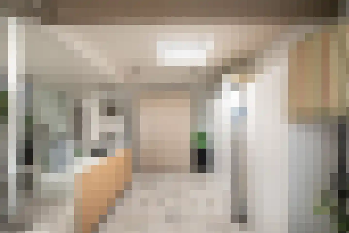Dorpsweg 56 Rockanje thumbnail 28