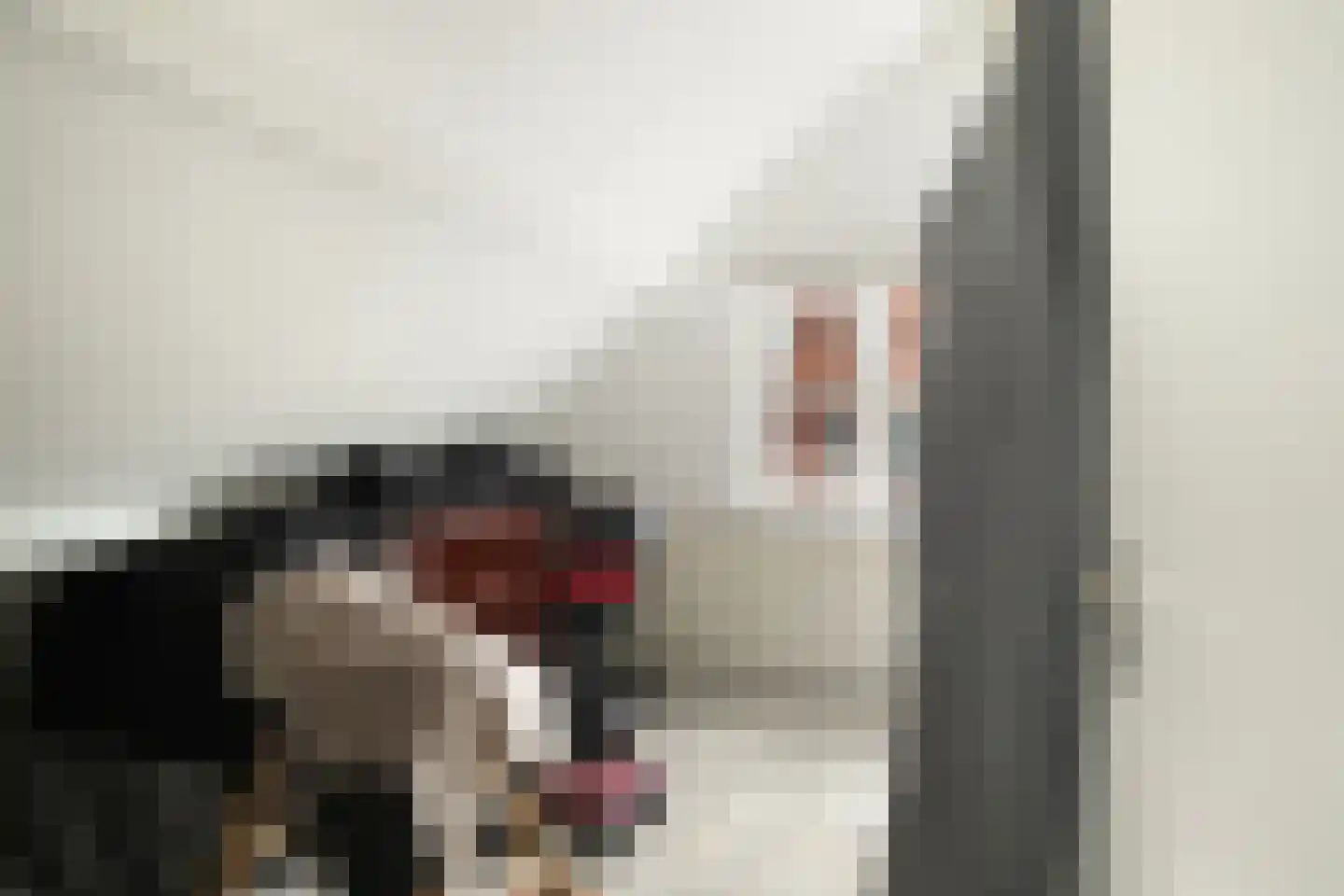 Dorpsweg 56 Rockanje thumbnail 35
