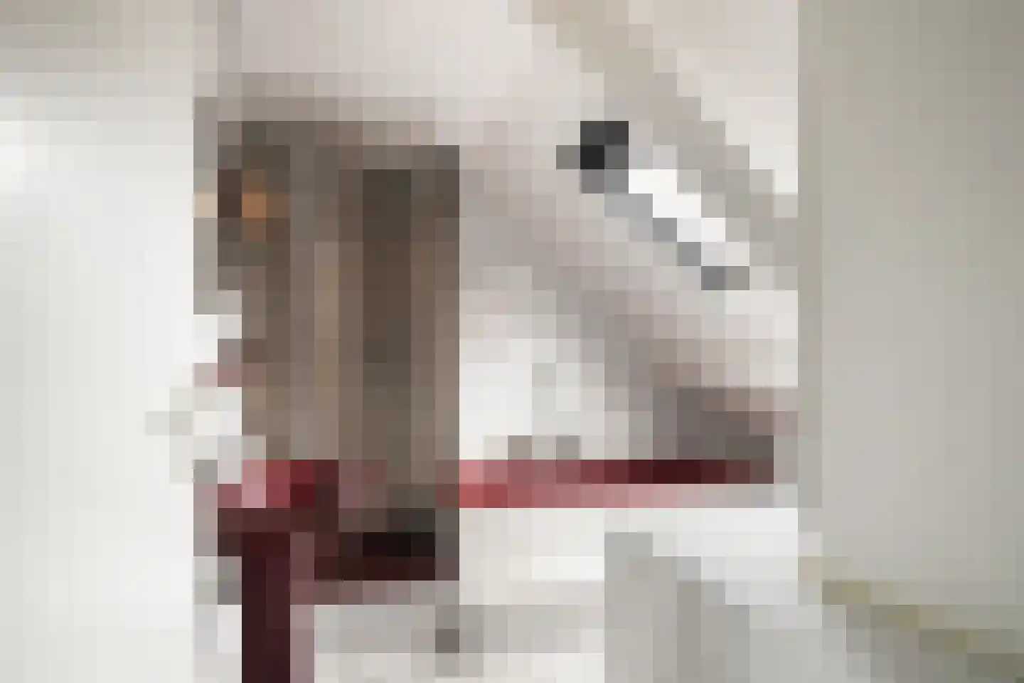 Dorpsweg 56 Rockanje thumbnail 36