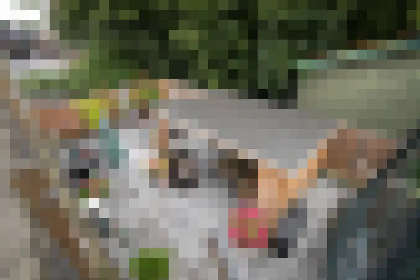 Dorpsweg 56 Rockanje thumbnail 40