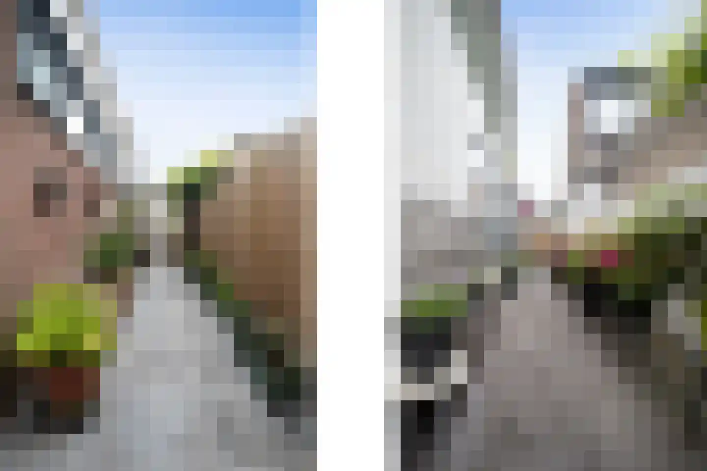 Dorpsweg 56 Rockanje thumbnail 43