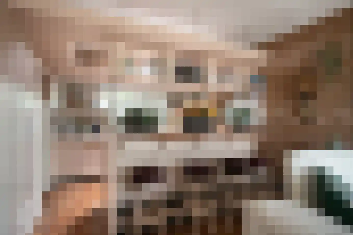Dorpsweg 56 Rockanje thumbnail 5