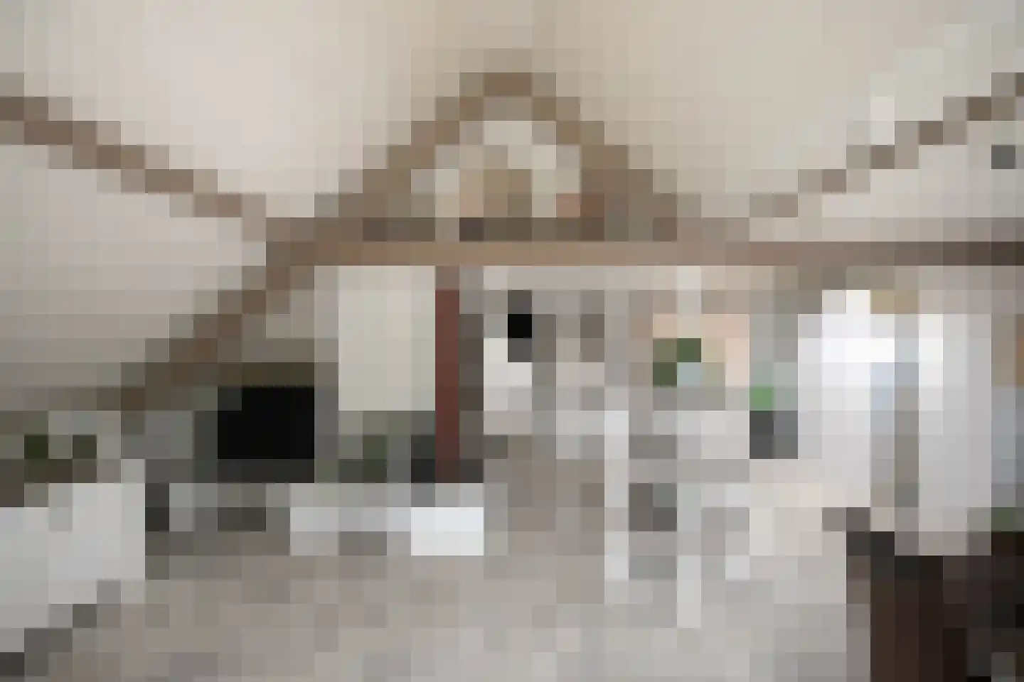Dorpsweg 56 Rockanje thumbnail 8