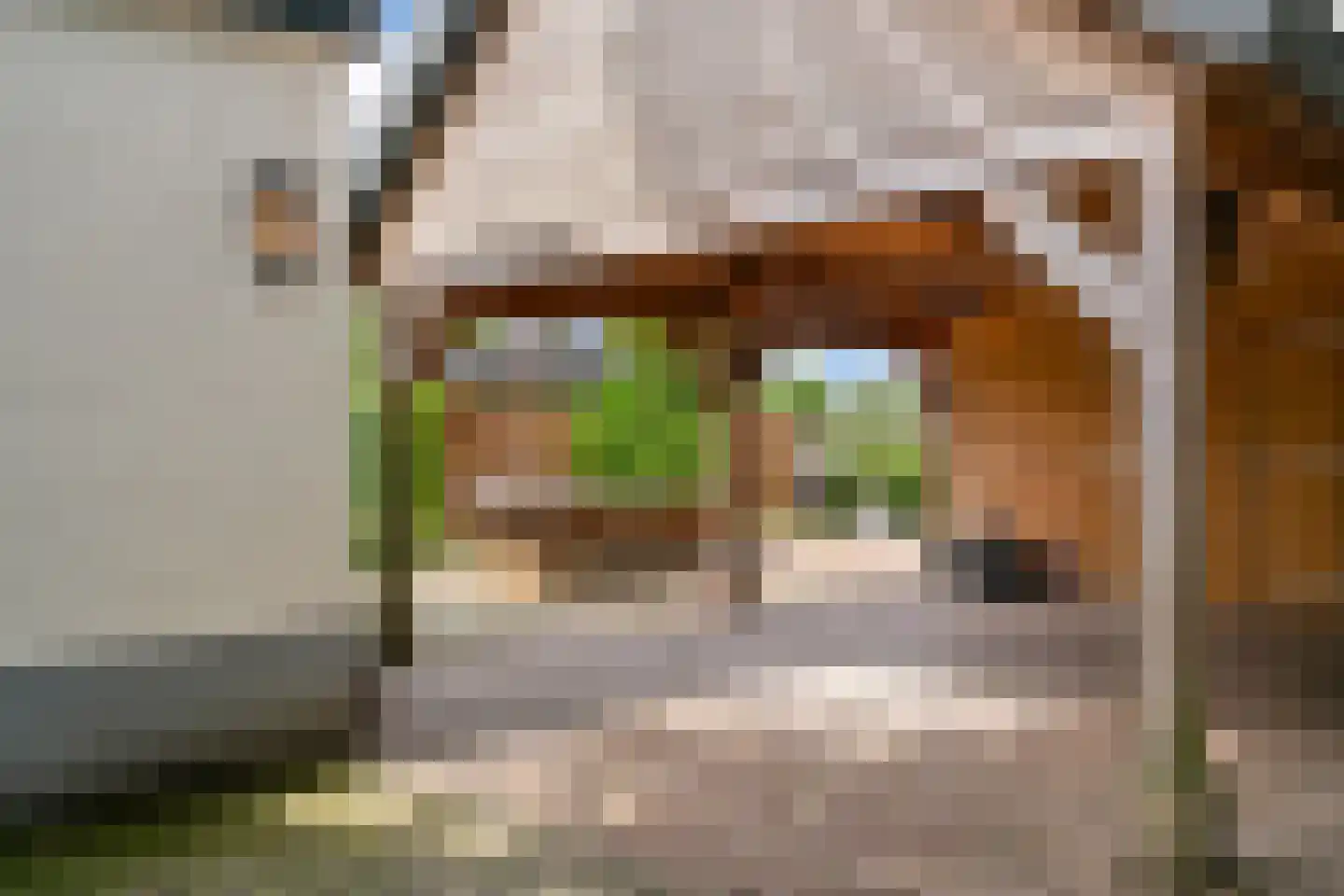 Dorpsweg 59 Maartensdijk thumbnail 27