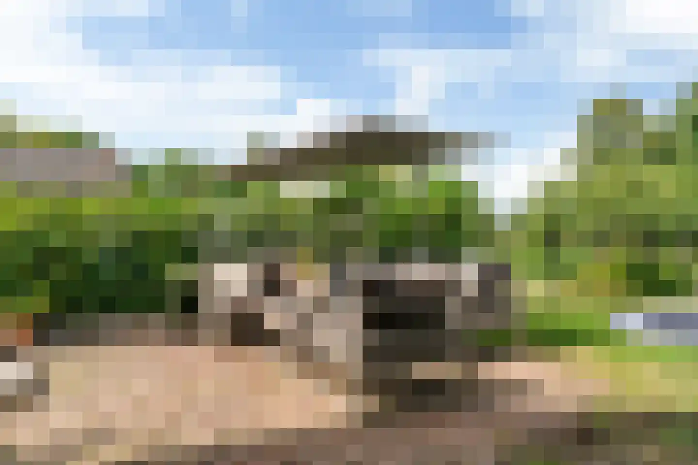 Dorpsweg 59 Maartensdijk thumbnail 28