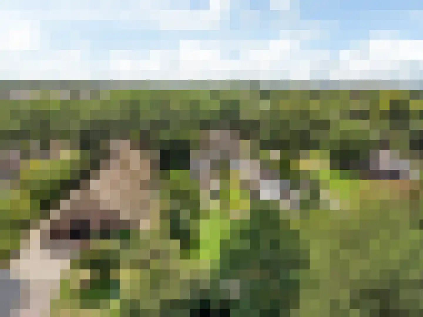 Dorpsweg 59 Maartensdijk thumbnail 42