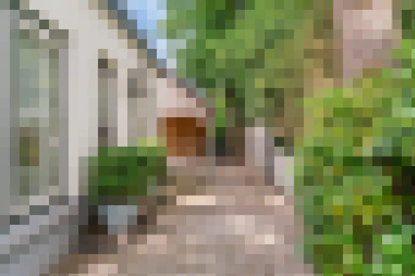 Dorpsweg 59 Maartensdijk thumbnail 5