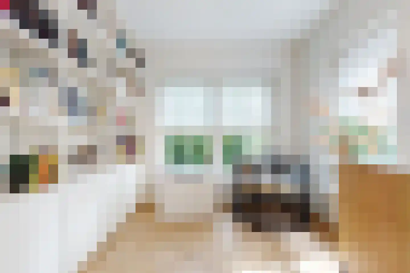 Dorpsweg 59 Maartensdijk thumbnail 8