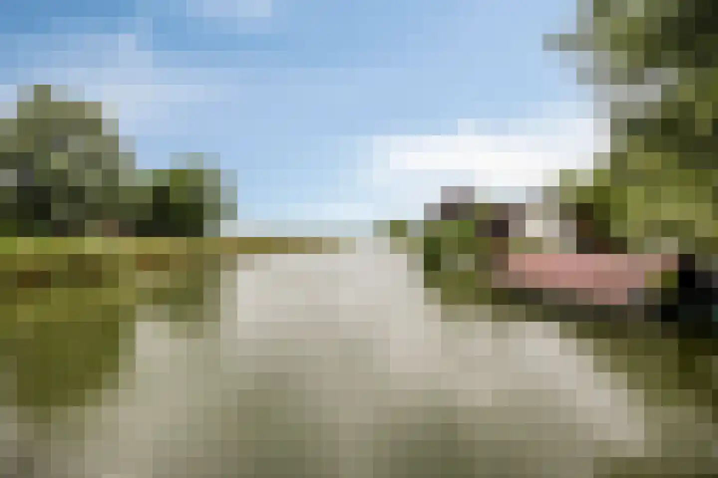 Dorpsweg 59 Oudendijk thumbnail 4