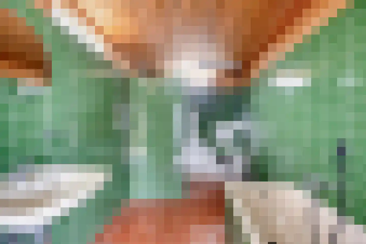 Dorpsweg 59 Oudendijk thumbnail 8