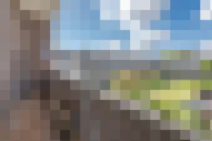 Dorpsweg 61 B 01 Rotterdam thumbnail 14