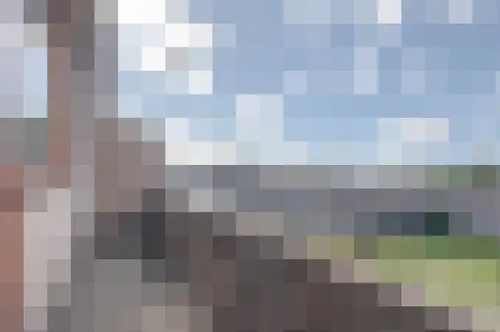Dorpsweg 61 B 01 Rotterdam thumbnail 26