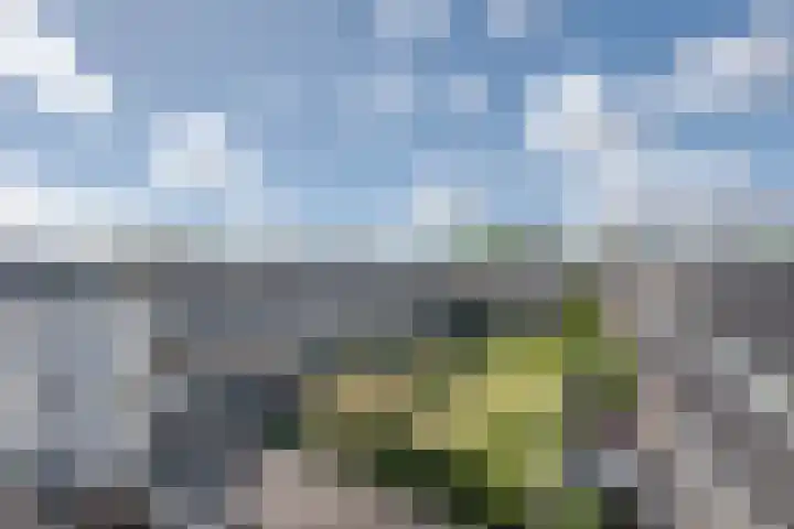 Dorpsweg 61 B 01 Rotterdam thumbnail 28